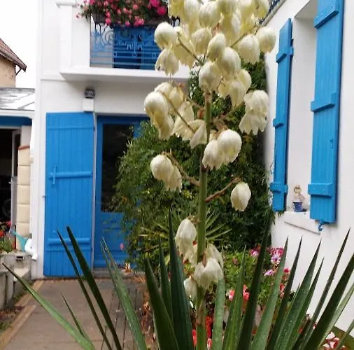 Les Volets Bleus B&B 포르닉