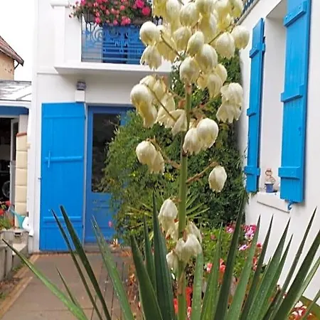 Bed & Breakfast Les Volets Bleus